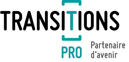 Logo Transition Pro