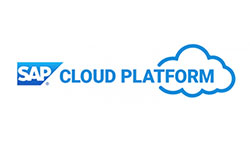 Suadeo fournisseur cloud partenaire SAP Platform